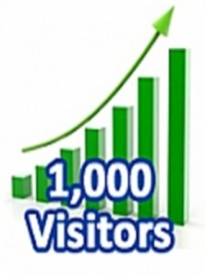 cover image of 1,000 Visitors in One Month